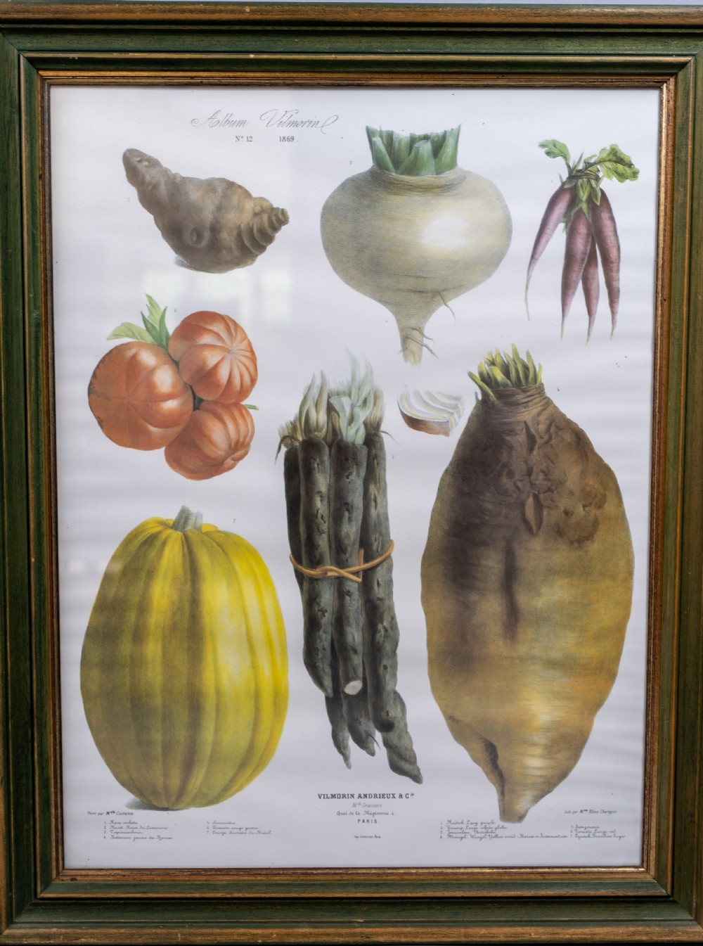 Pair of Vilmorin Andrieux, Paris Framed Prints - No. 12 (1869) & No. 15 (1864) View III