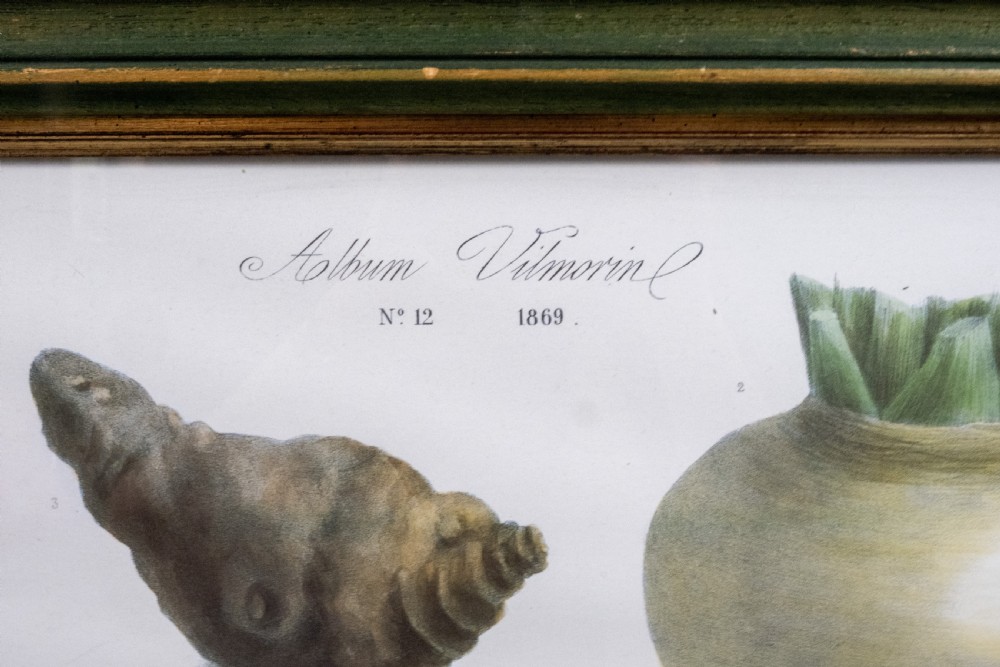 Pair of Vilmorin Andrieux, Paris Framed Prints - No. 12 (1869) & No. 15 (1864) View IV
