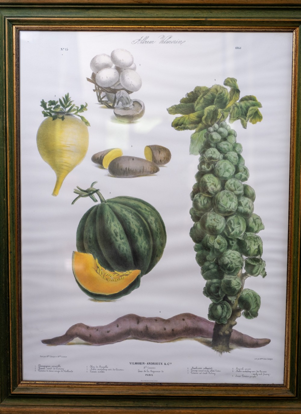 Pair of Vilmorin Andrieux, Paris Framed Prints - No. 12 (1869) & No. 15 (1864) View V