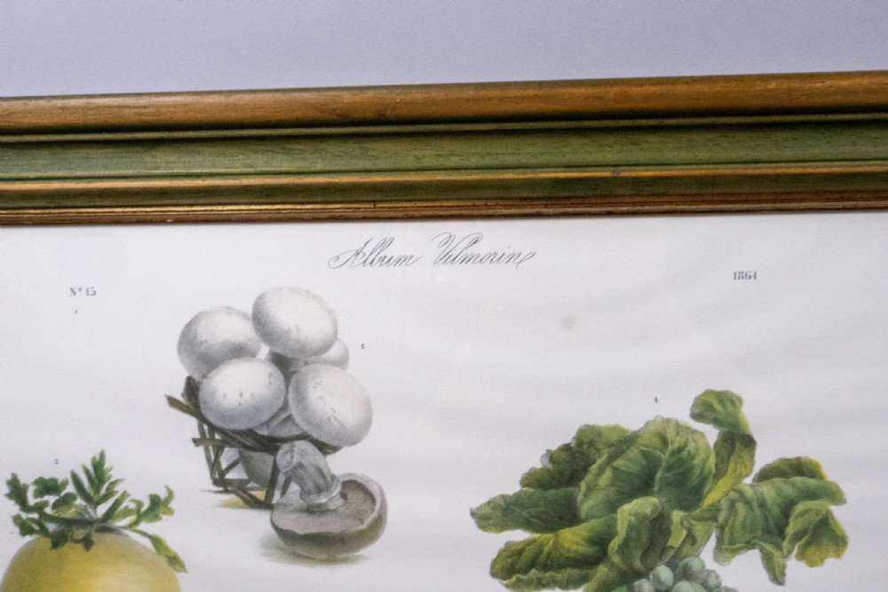 Pair of Vilmorin Andrieux, Paris Framed Prints - No. 12 (1869) & No. 15 (1864) View VI