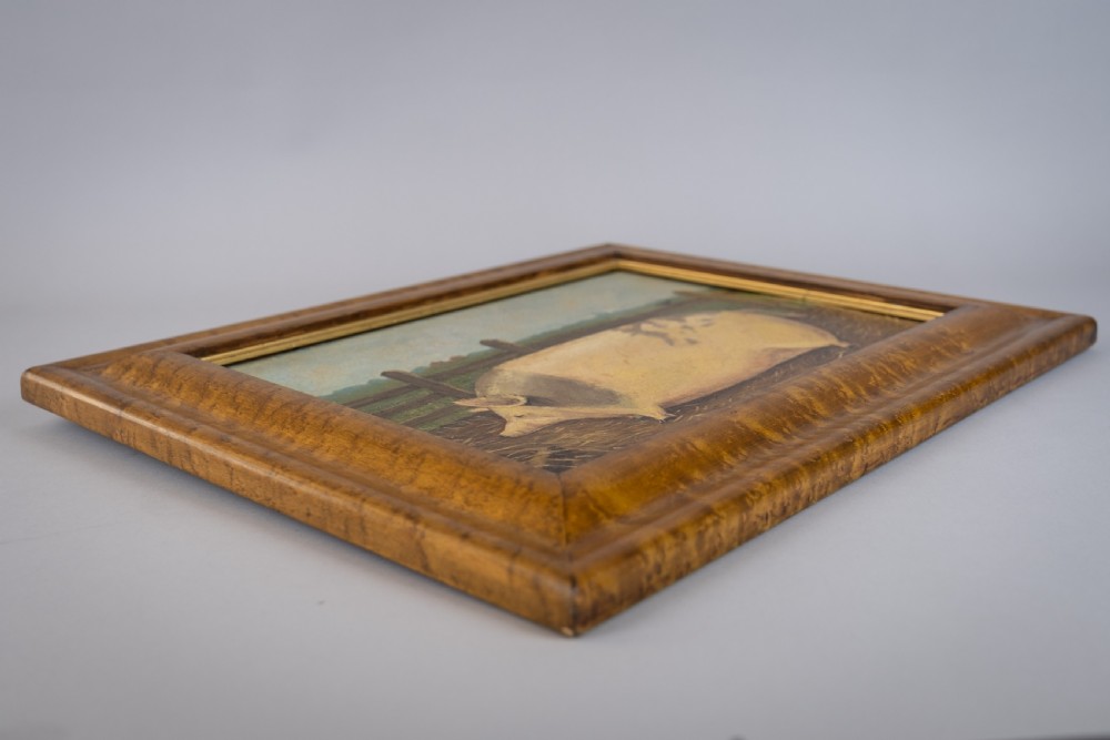 Early 20th Century Prize Pig In Landscape, Oil On Panel - English School. View VII