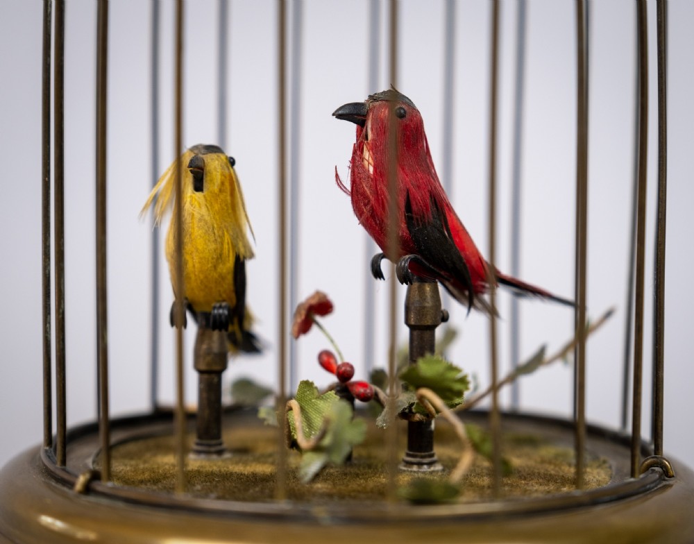 Early 20th Century Swiss Singing Bird Automaton by Reuge Music, Sainte-Croix. View V