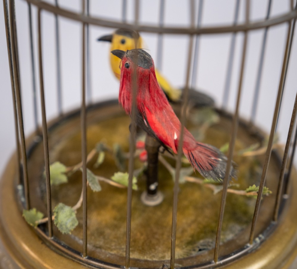 Early 20th Century Swiss Singing Bird Automaton by Reuge Music, Sainte-Croix. View X
