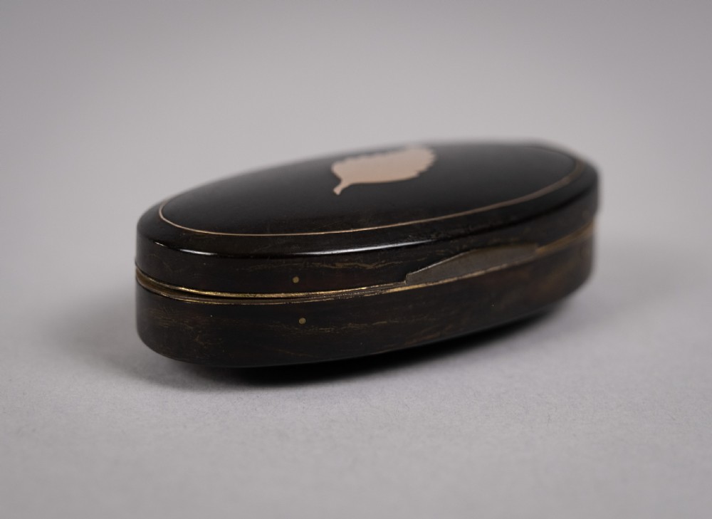 19th Century Tortoiseshell & Gilt Metal 'Leaf' Snuff Box View IV