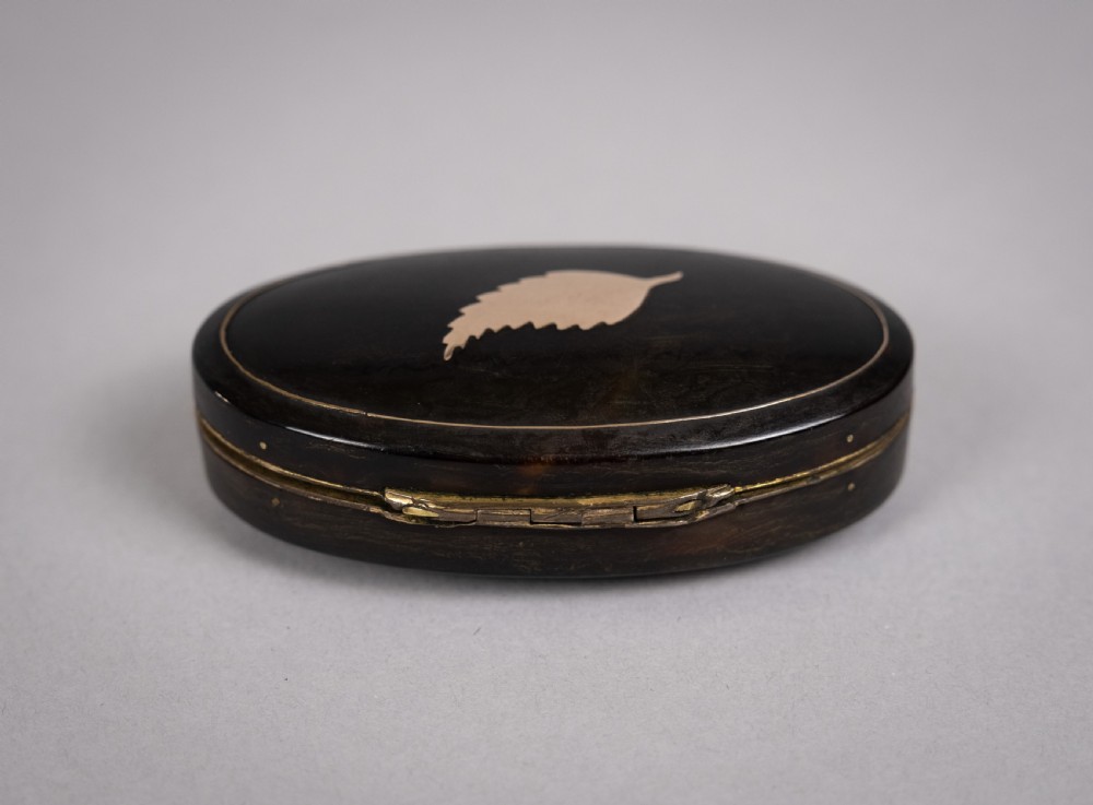 19th Century Tortoiseshell & Gilt Metal 'Leaf' Snuff Box View V