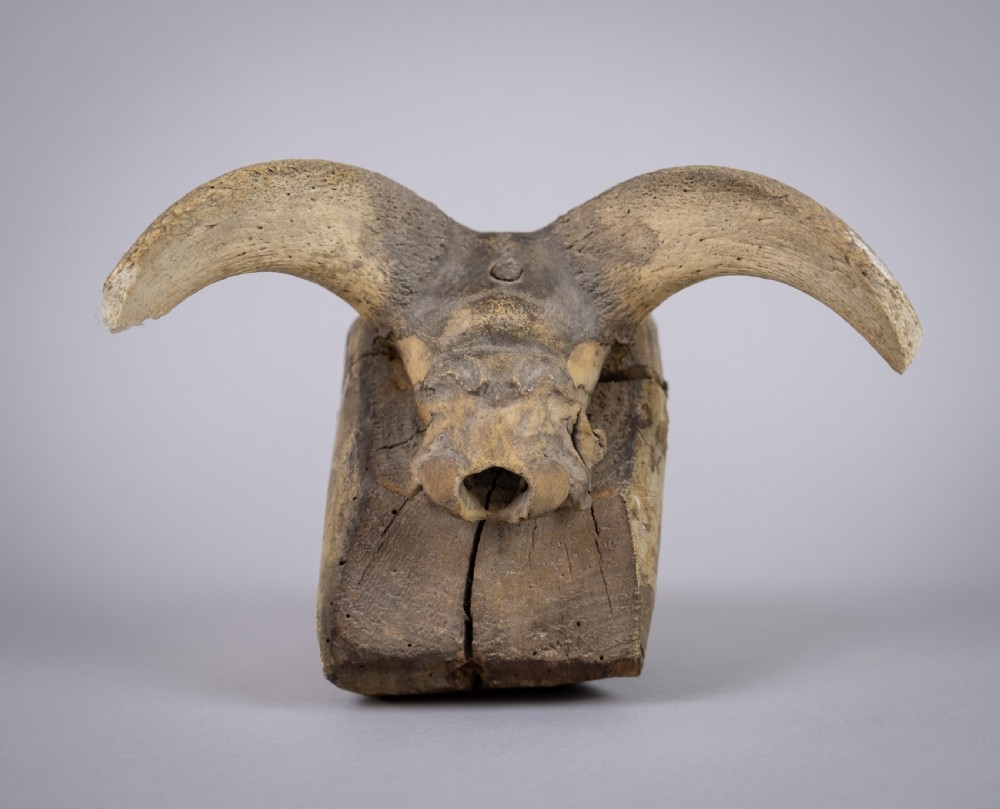 19th Century Folk Art Carved Wooden Ram's Head With Horns. View IV