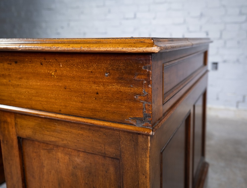 Newson & Co London 19th Century Mahogany Pedestal Desk View XV