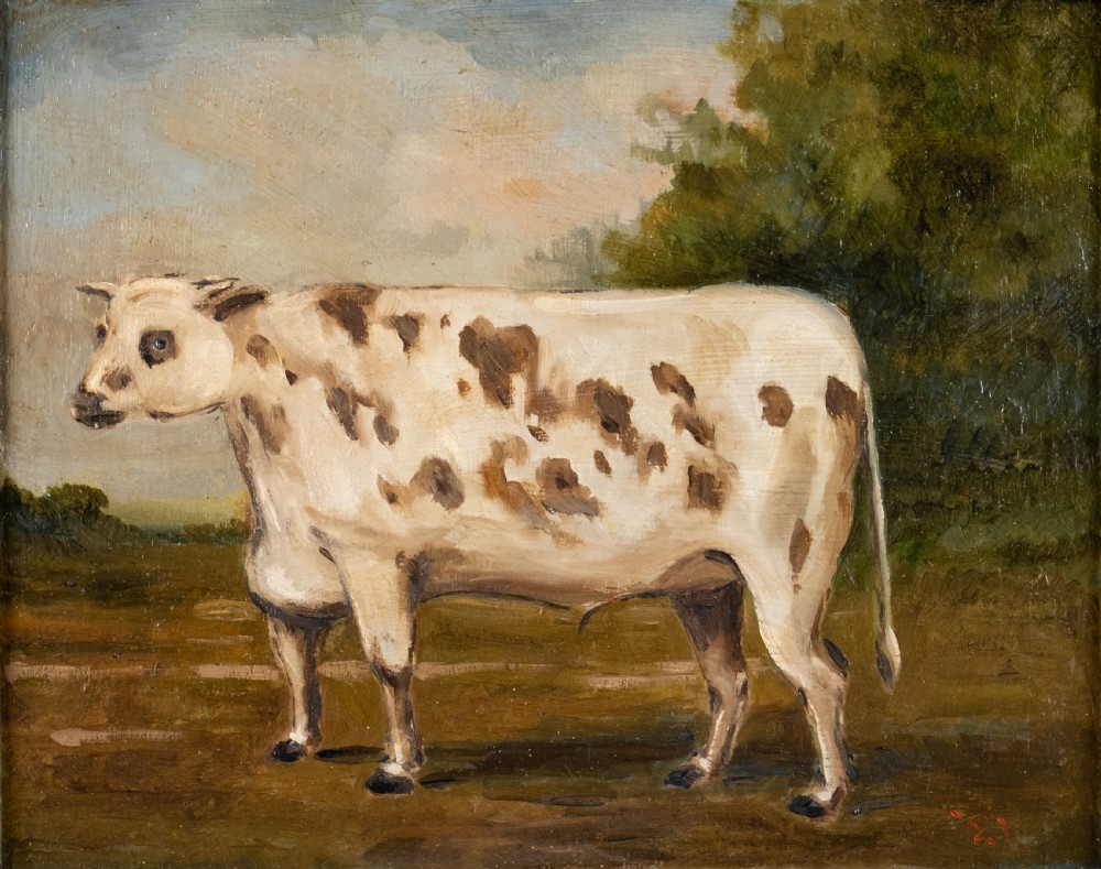 Early 20th Century Prize Bull In Landscape. Dated 1921. Oil On Board. View II