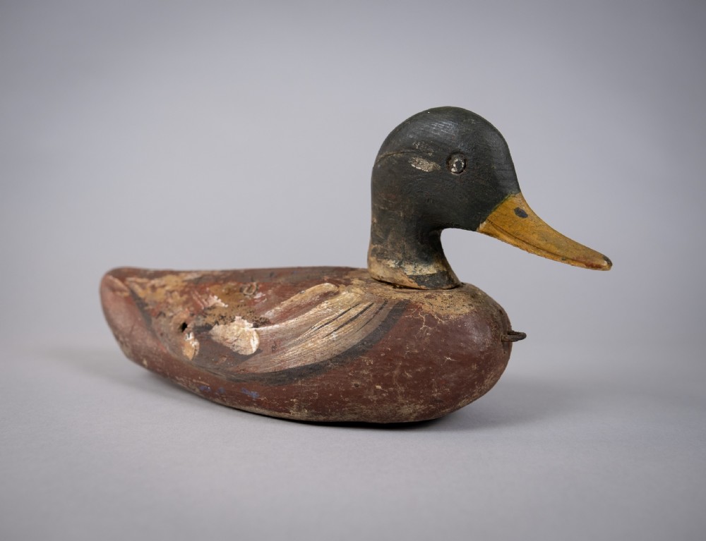 Early 20th Century Carved Painted Decoy Mallard Duck View IV