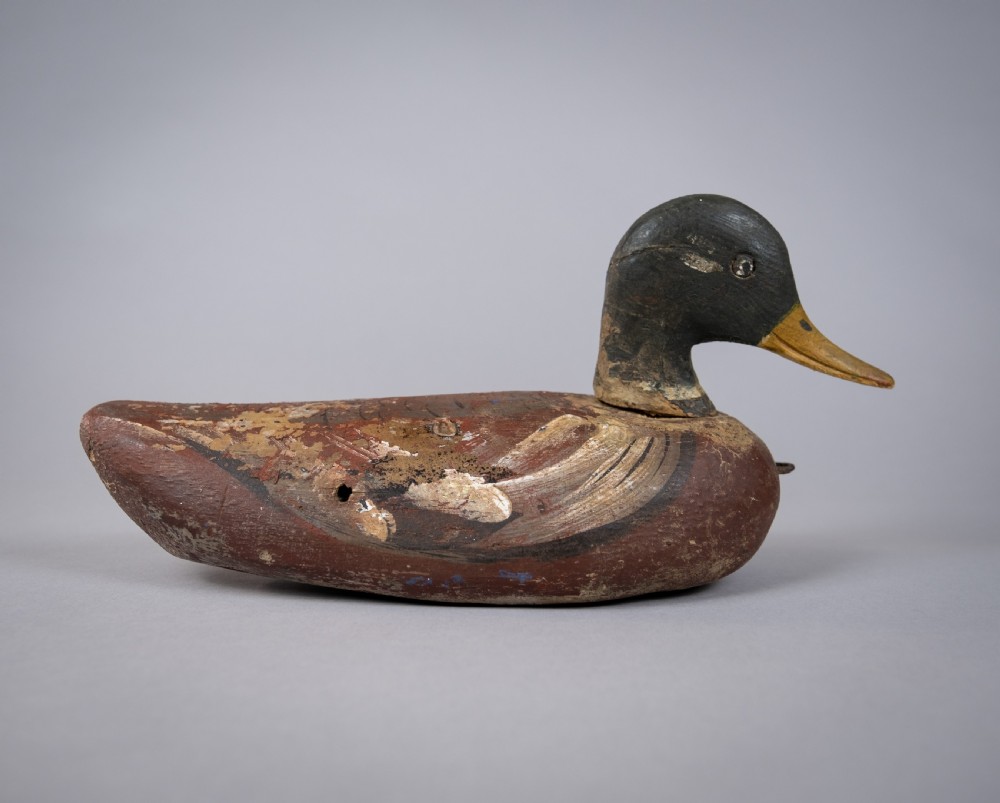 Early 20th Century Carved Painted Decoy Mallard Duck View V