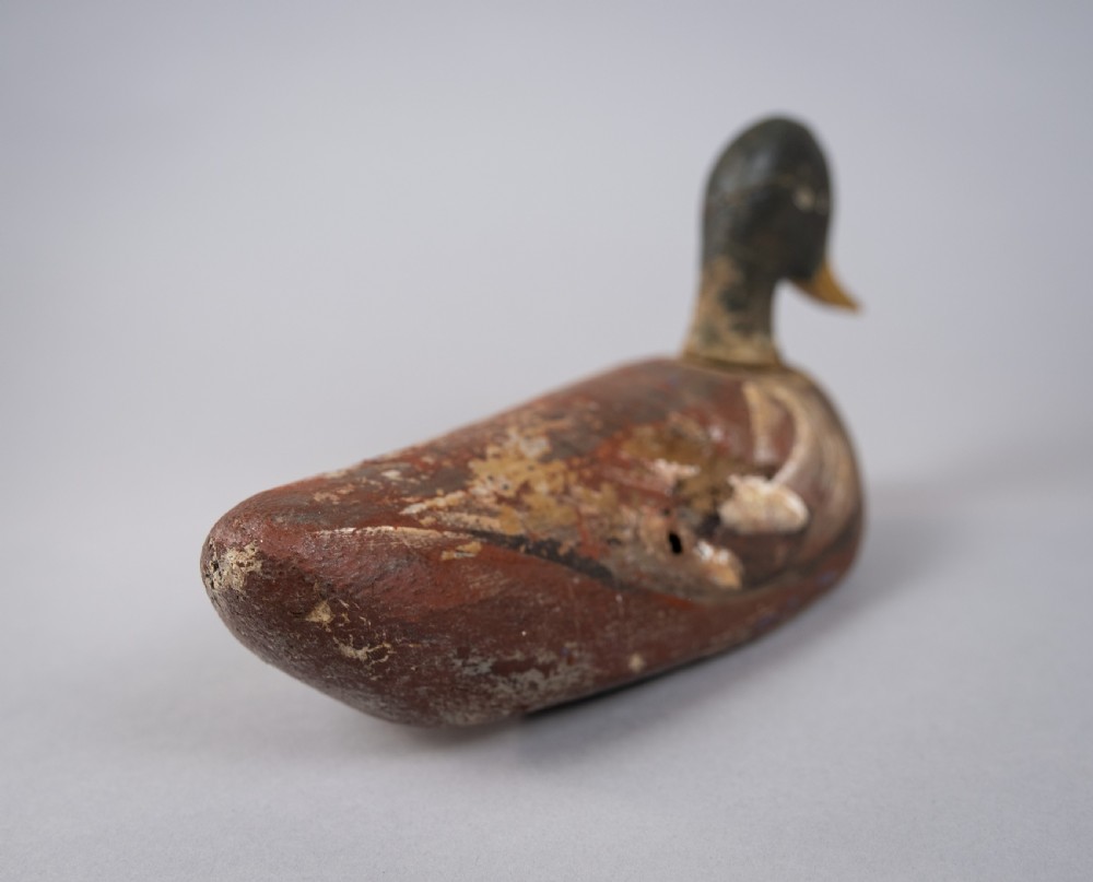 Early 20th Century Carved Painted Decoy Mallard Duck View VI