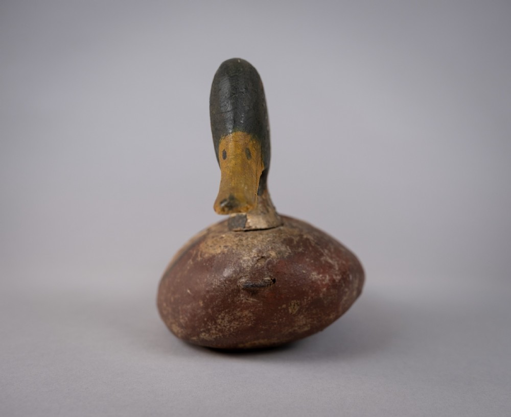 Early 20th Century Carved Painted Decoy Mallard Duck View VII