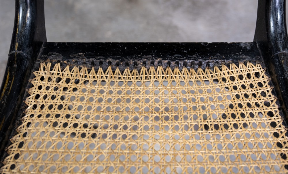 Regency Ebonised, Gilt & Painted Cane Sabre Leg Chair View IX