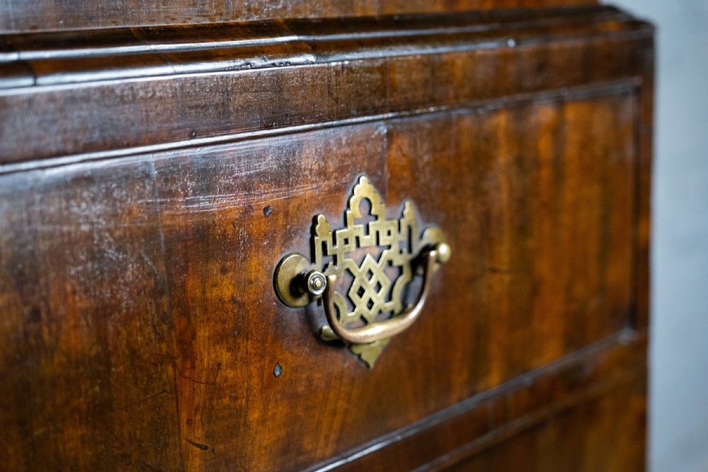 George III Chippendale Period Mahogany Glazed Bookcase. View VIII