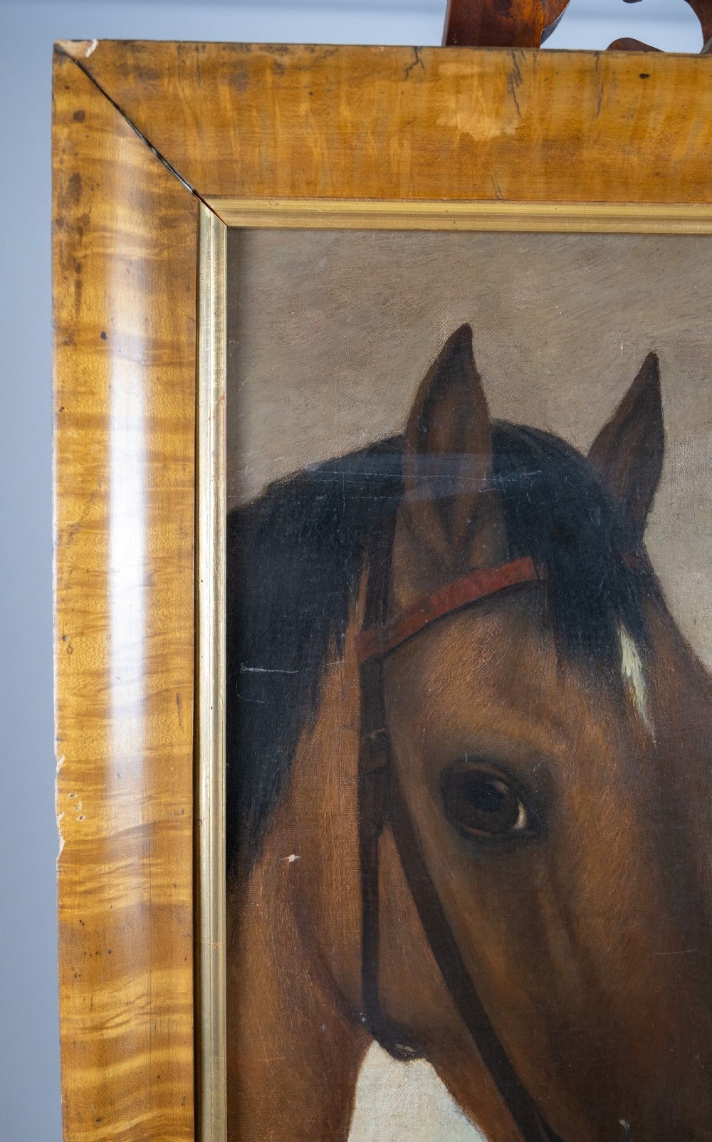 19th Century Oil On Canvas Horse & Rider In Maple Frame. View VII
