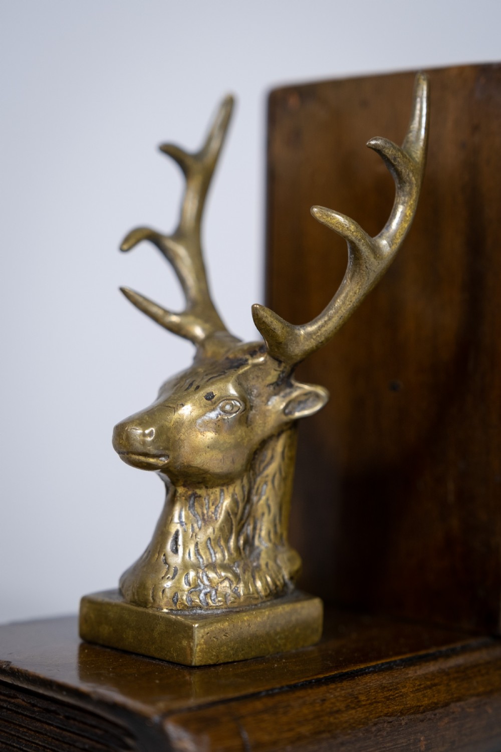 Pair of 19th Century Bronze Stag Bookends View V