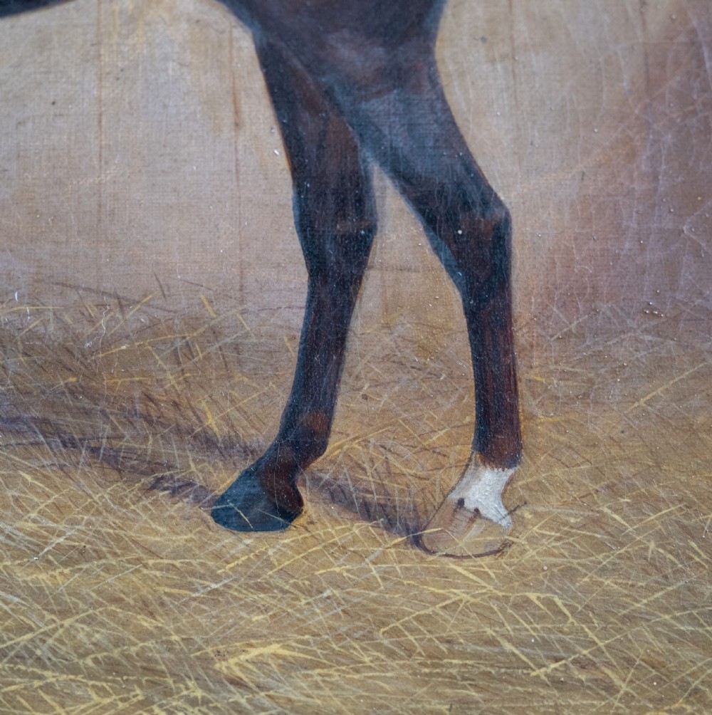 James Clarke (1858-1943) Chestnut Horse In Stable. Oil On Canvas. View IV