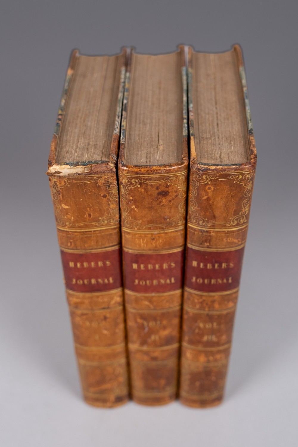 1828 Journey Through Upper Provinces Of India by Reginald Heber - 3 Book Set. View III