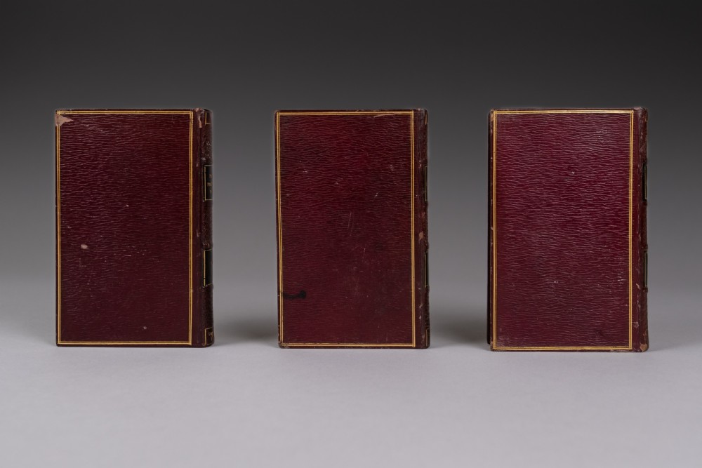 A three-volume set of 1835 leather-bound books by Alexander Pope with dark spine labels and gilt lettering. View V
