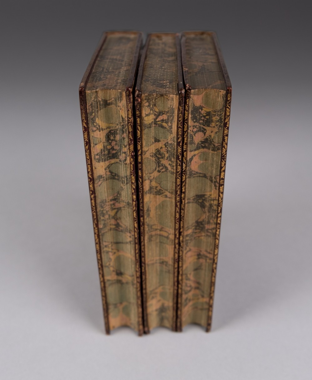 A three-volume set of 1835 leather-bound books by Alexander Pope with dark spine labels and gilt lettering. View VII
