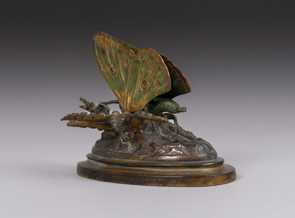 19th Century Cold Painted Bronze Butterfly Letter Clip View IX
