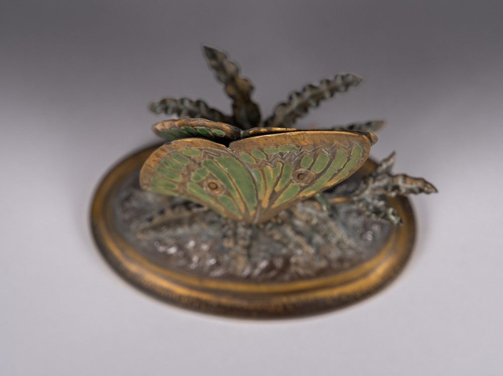 19th Century Cold Painted Bronze Butterfly Letter Clip View XI