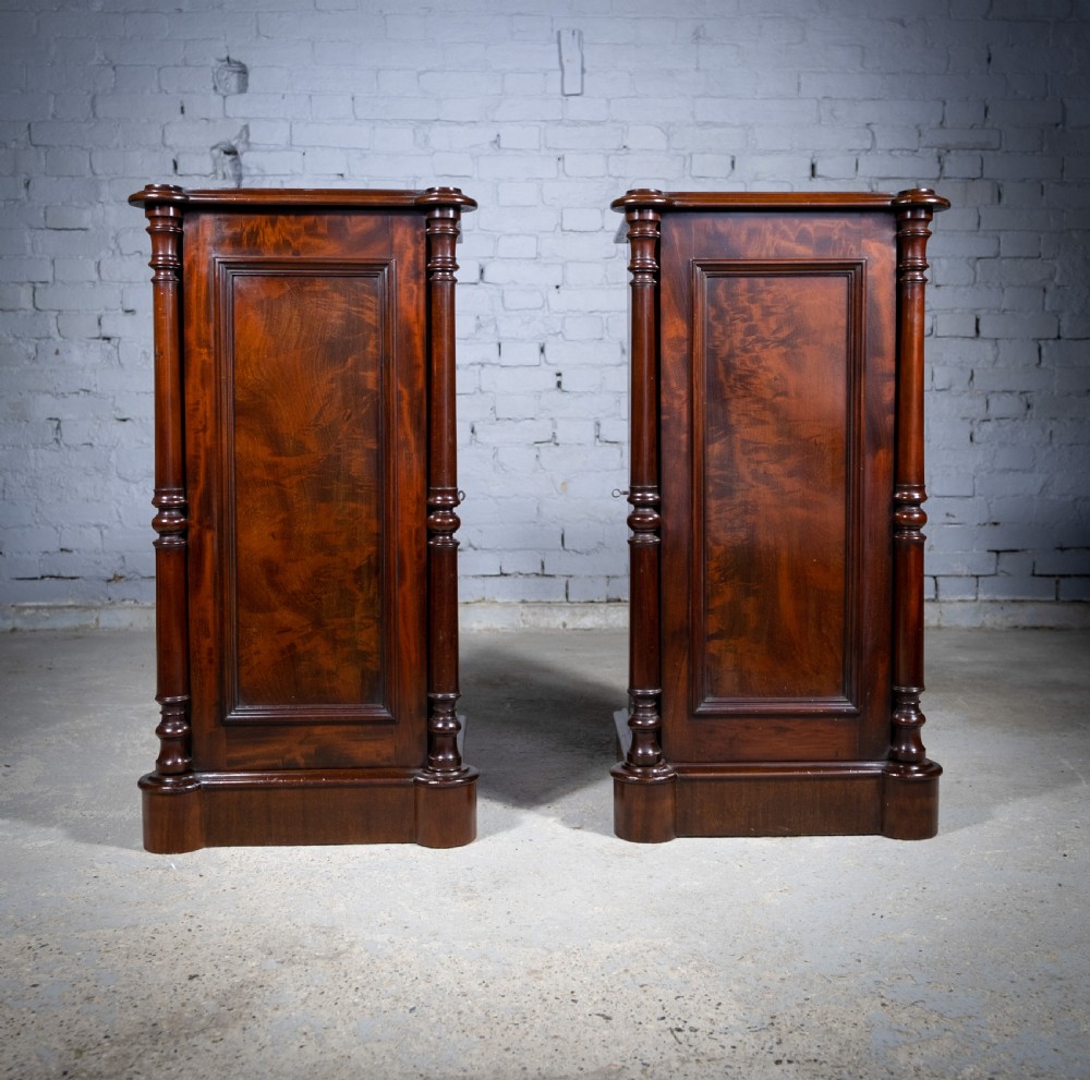 Pair Of 19th Century Mahogany Pedestal Cupboards
