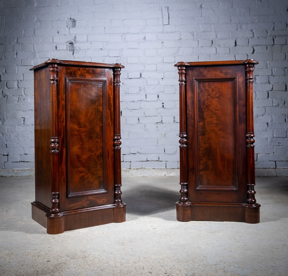 Pair Of 19th Century Mahogany Pedestal Cupboards View II
