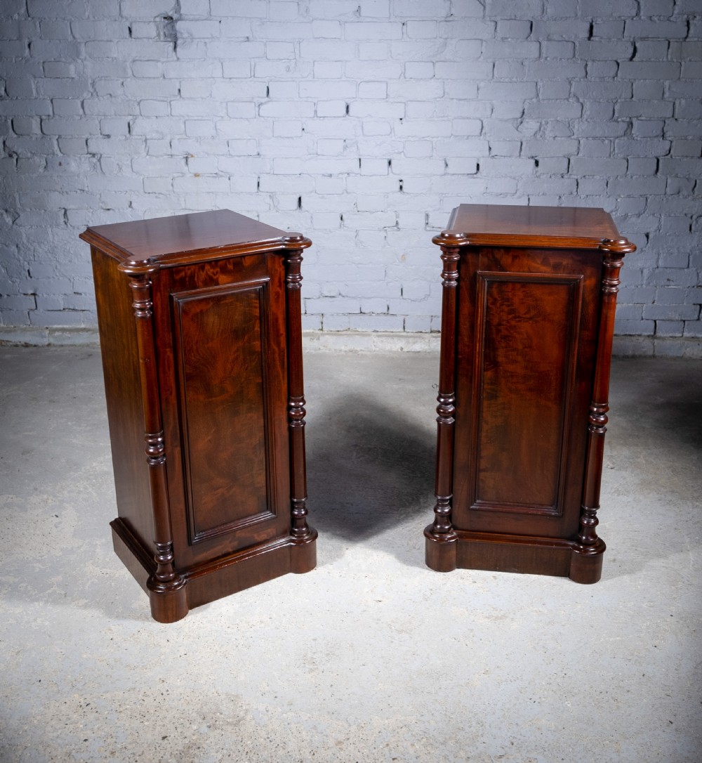 Pair Of 19th Century Mahogany Pedestal Cupboards View III