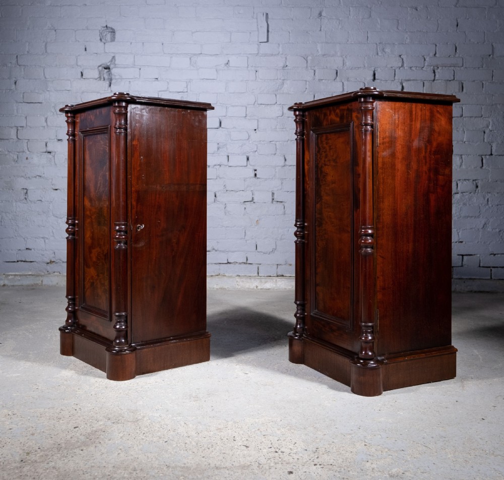 Pair Of 19th Century Mahogany Pedestal Cupboards View IV