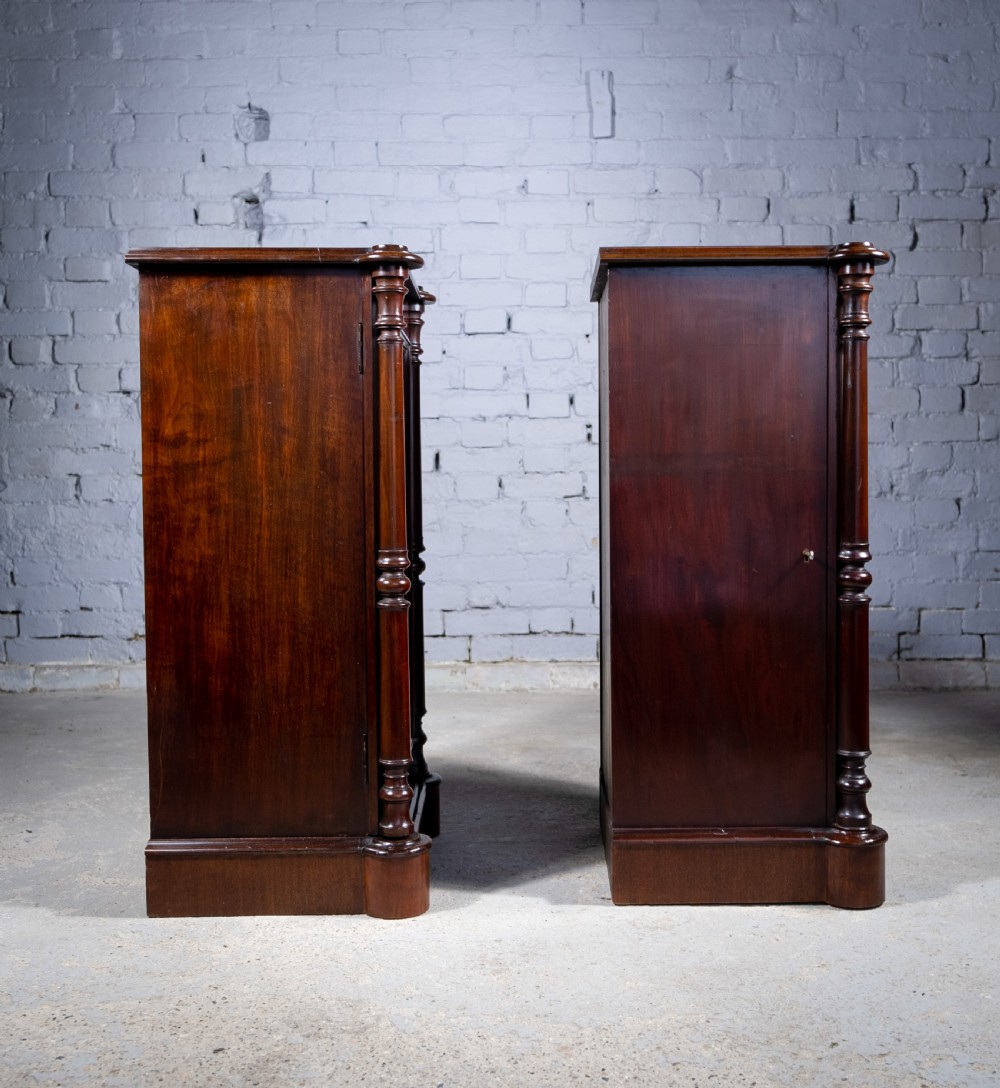 Pair Of 19th Century Mahogany Pedestal Cupboards View VI