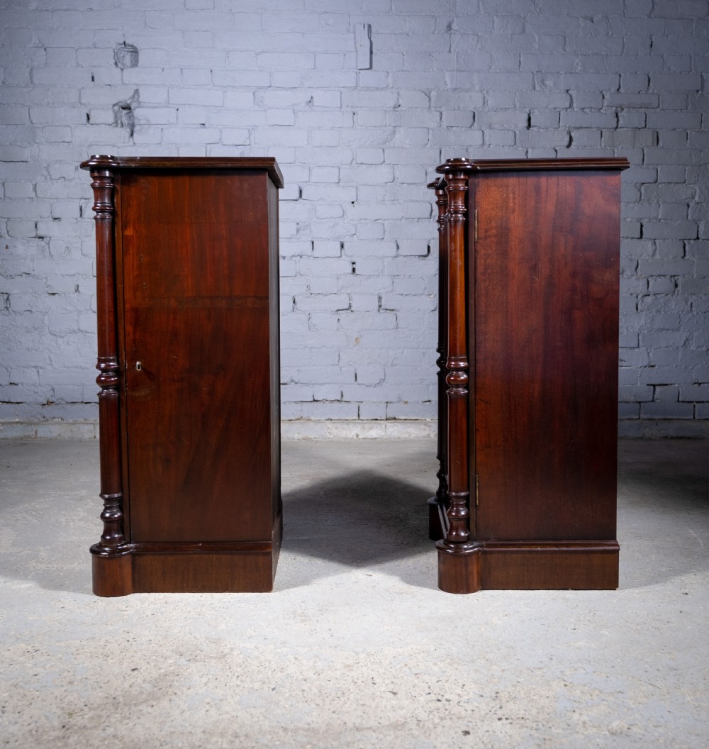 Pair Of 19th Century Mahogany Pedestal Cupboards View VII