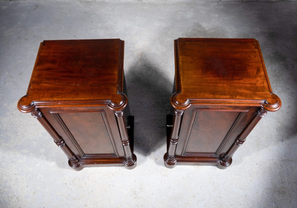 Pair Of 19th Century Mahogany Pedestal Cupboards View VIII