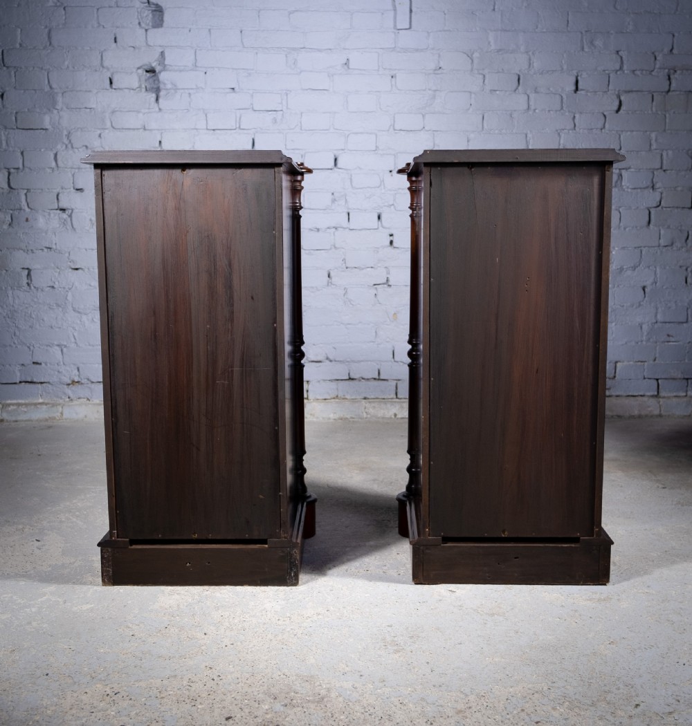 Pair Of 19th Century Mahogany Pedestal Cupboards View XI