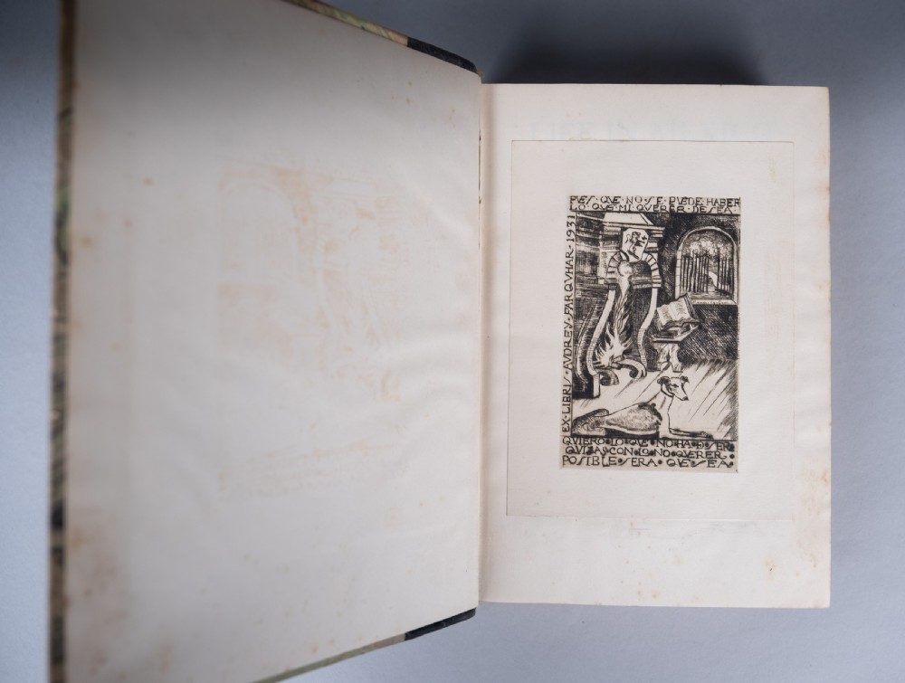 A half-leather bound book titled Life In Mexico with a dark brown spine featuring gilt geometric patterns and marbled paper boards. View VII