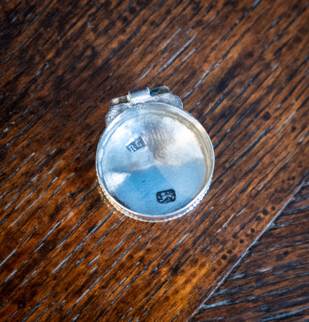 Georgian Sterling Silver Nutmeg Grater, c.1775 View VII