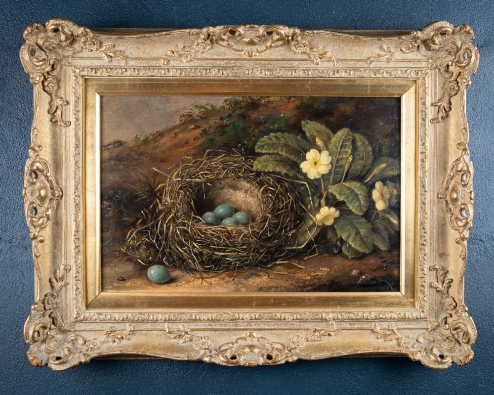 Fanny Wycliffe Goodwin (fl.1840-1850) - Bird's Nest & Primrose. Oil On Board.