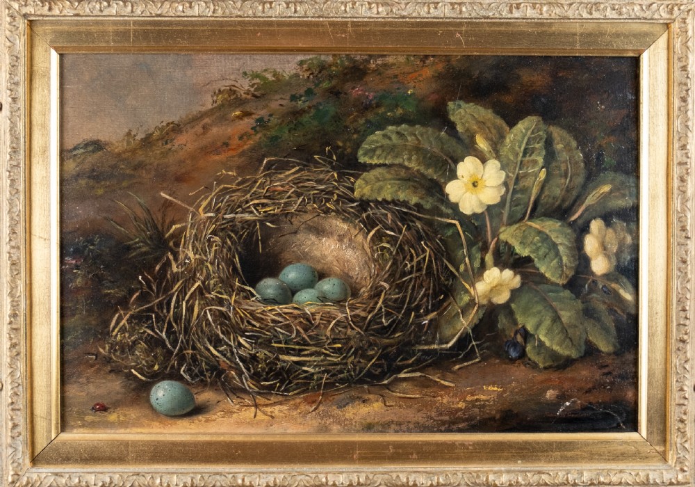 Fanny Wycliffe Goodwin (fl.1840-1850) - Bird's Nest & Primrose. Oil On Board. View II