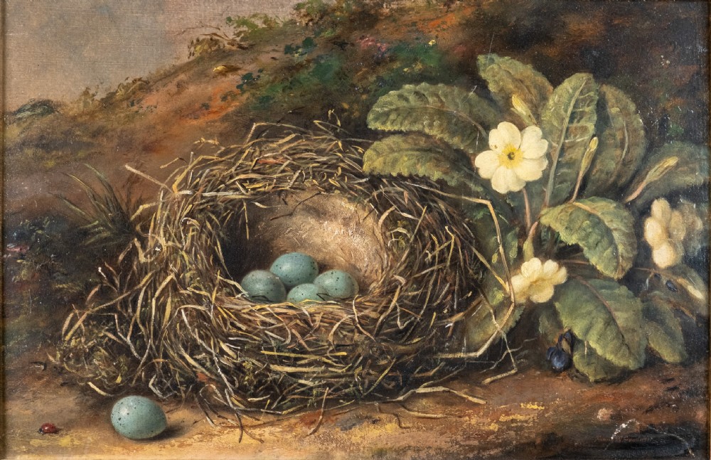 Fanny Wycliffe Goodwin (fl.1840-1850) - Bird's Nest & Primrose. Oil On Board. View III