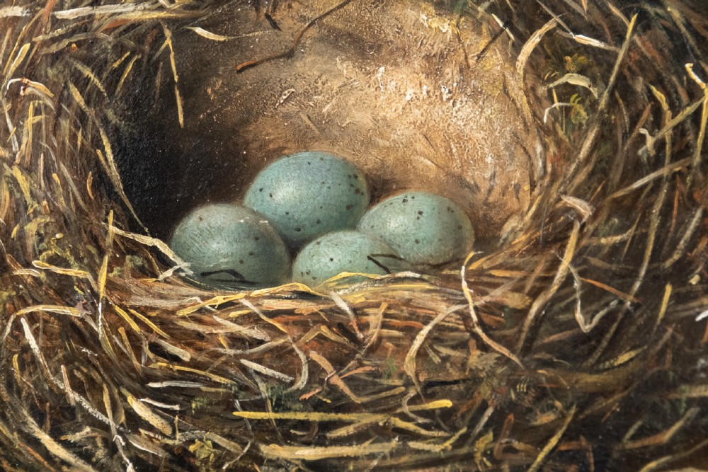 Fanny Wycliffe Goodwin (fl.1840-1850) - Bird's Nest & Primrose. Oil On Board. View IV
