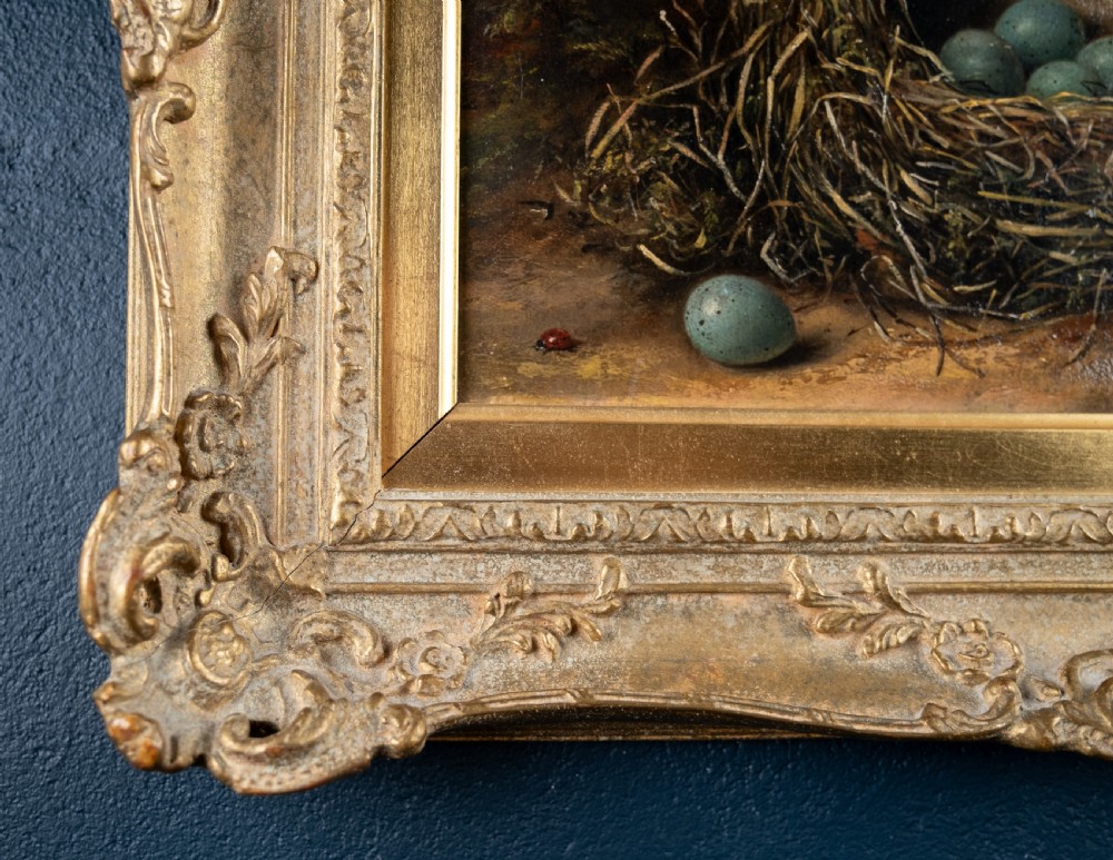 Fanny Wycliffe Goodwin (fl.1840-1850) - Bird's Nest & Primrose. Oil On Board. View VIII
