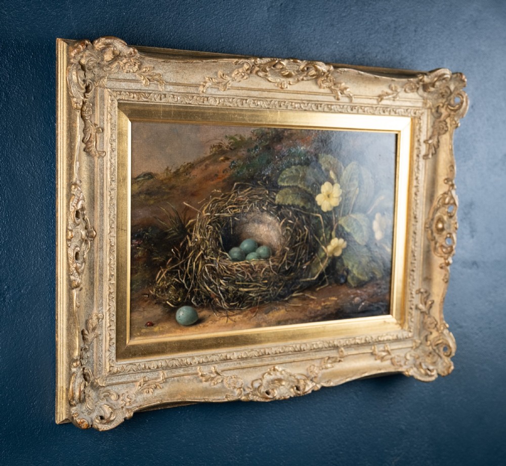 Fanny Wycliffe Goodwin (fl.1840-1850) - Bird's Nest & Primrose. Oil On Board. View IX
