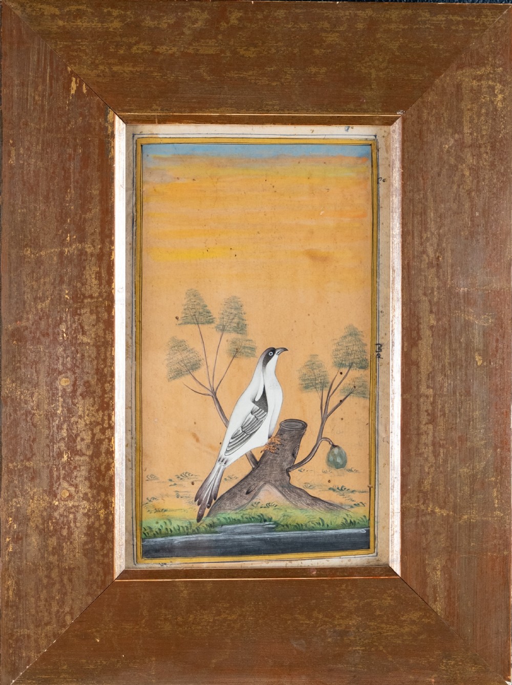19th Century Mughal School - Bird And Tree. Signed. Watercolour. 