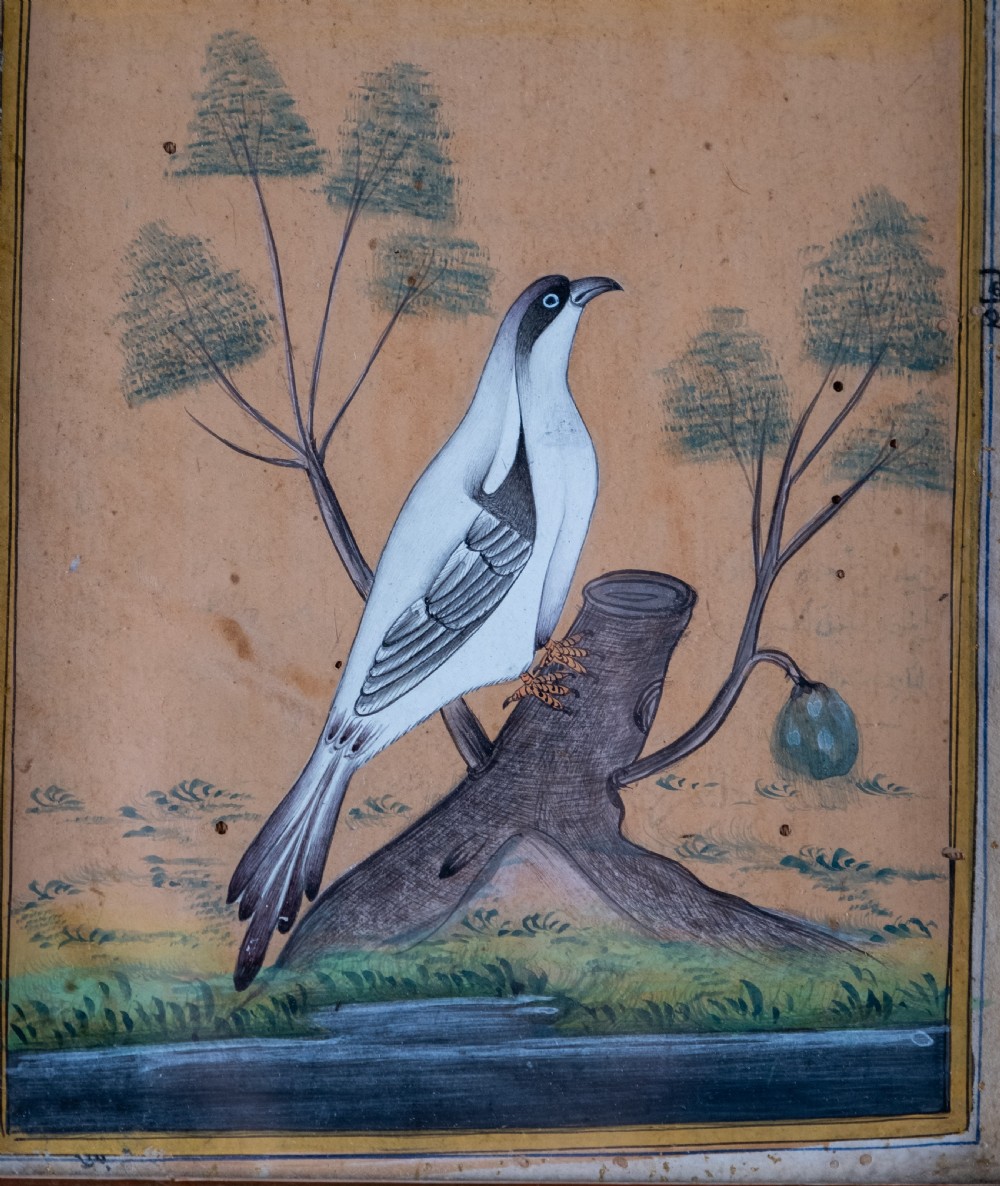 19th Century Mughal School - Bird And Tree. Signed. Watercolour.  View II