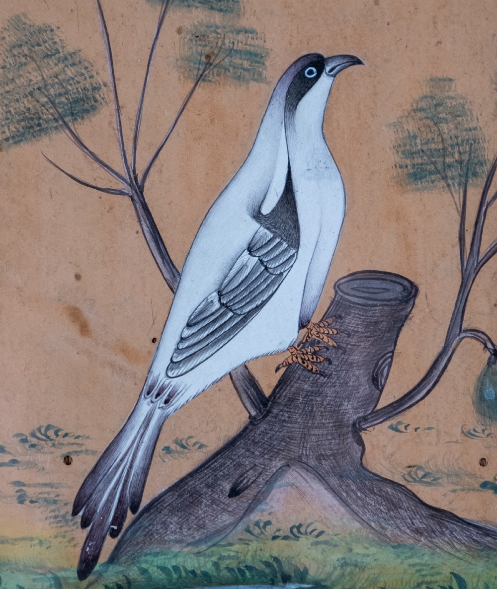 19th Century Mughal School - Bird And Tree. Signed. Watercolour.  View III