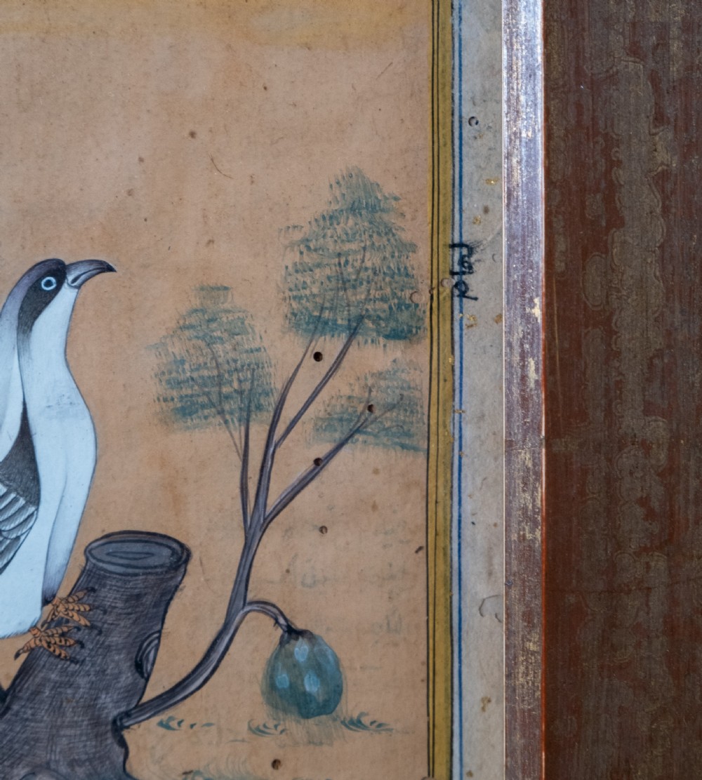 19th Century Mughal School - Bird And Tree. Signed. Watercolour.  View IV