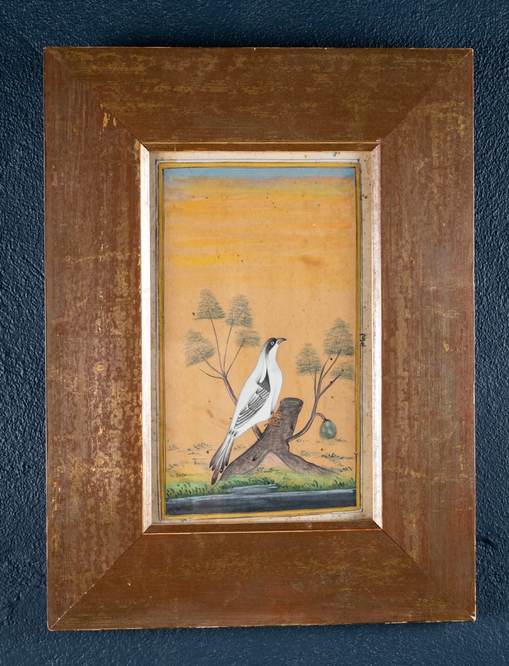 19th Century Mughal School - Bird And Tree. Signed. Watercolour.  View V