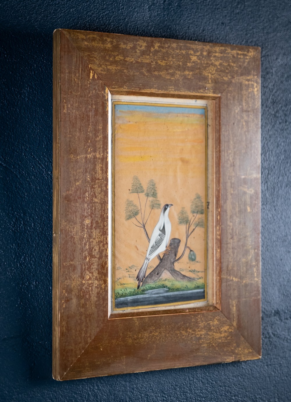 19th Century Mughal School - Bird And Tree. Signed. Watercolour.  View VII