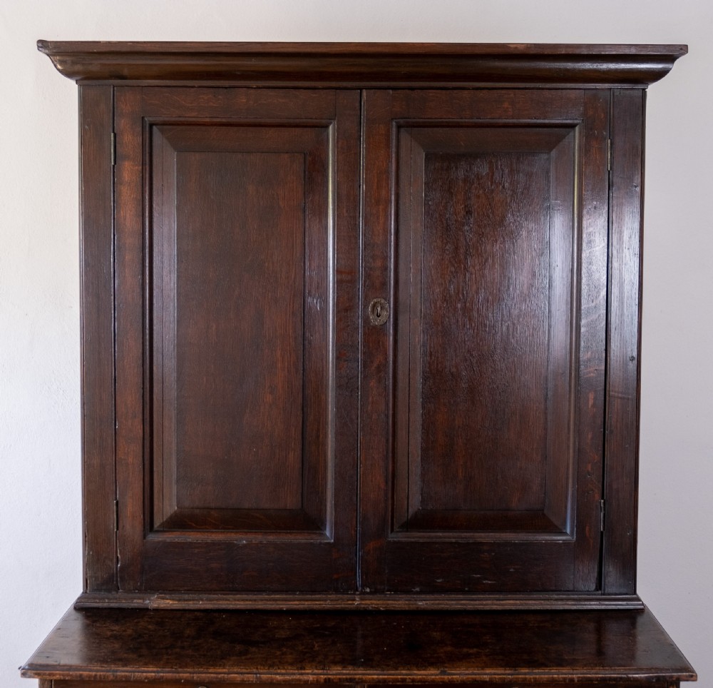Georgian Oak Bookcase Cupboard, c.1800 View III