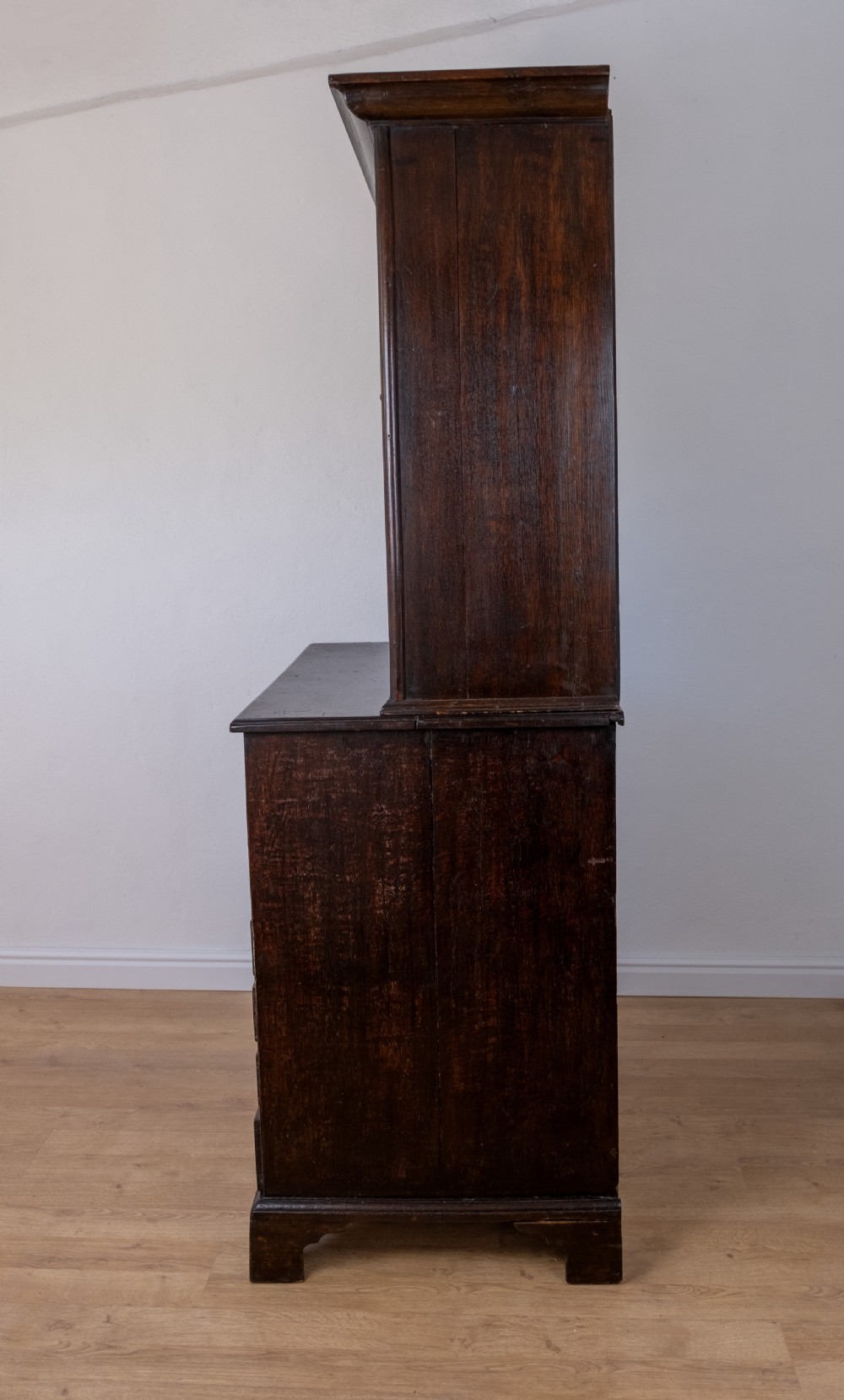 Georgian Oak Bookcase Cupboard, c.1800 View VI